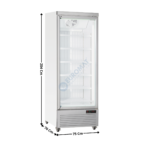 Congélateur vitrée 1 porte battante 560 Litres - BLANC - Ligne GMS | RFG750 | COOL HEAD