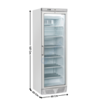 Armoire congélateur 300L. Noir – Sans Canopy | TNG390 | COOL HEAD