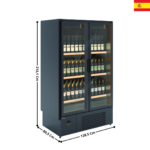 Armoire vitrée 2 Portes Battantes 1010 Litres / Spécial Vin – Série INGENIOUS | EFIW2R | DOCRILUC